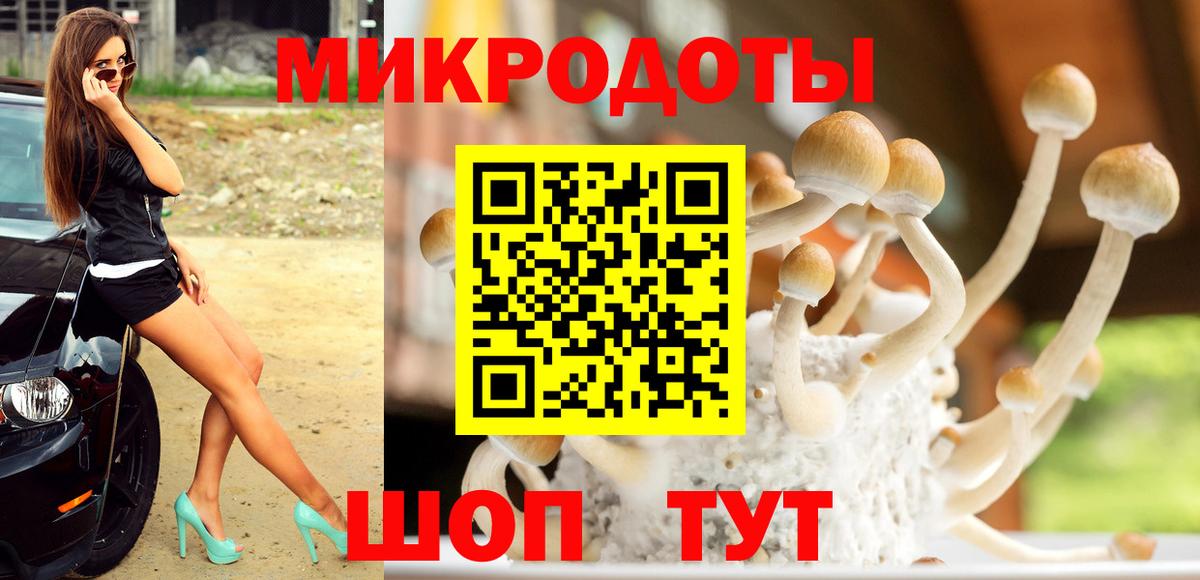 Псилоцибиновые грибы MAGIC MUSHROOMS  Псилоцибиновые грибы мухоморы  купить   Дзержинск  Вход с VPN 